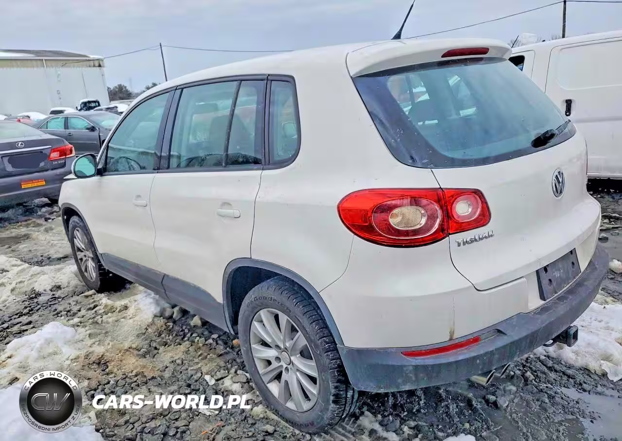 2009 Volkswagen Tiguan S VIN:WVGCV75N79W517653 - 2