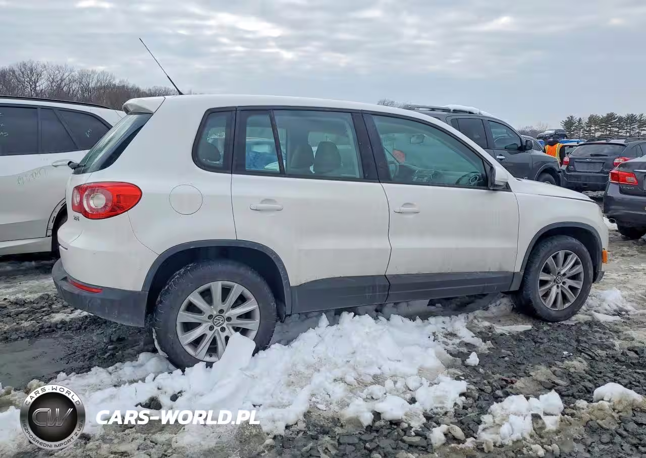 2009 Volkswagen Tiguan S VIN:WVGCV75N79W517653 - 3