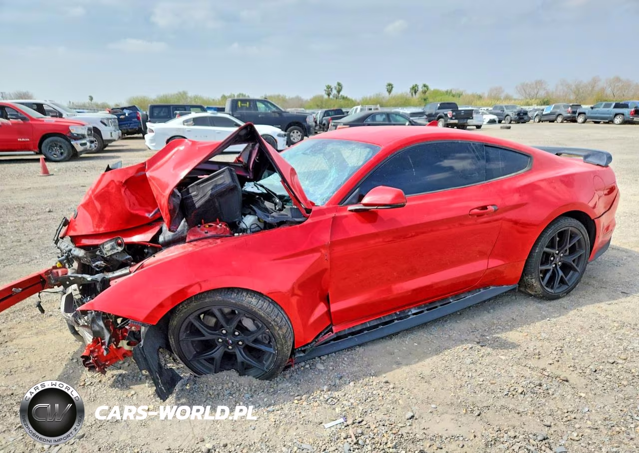 2021 Ford Mustang Gt VIN:1FA6P8CFXM5150295 - 1