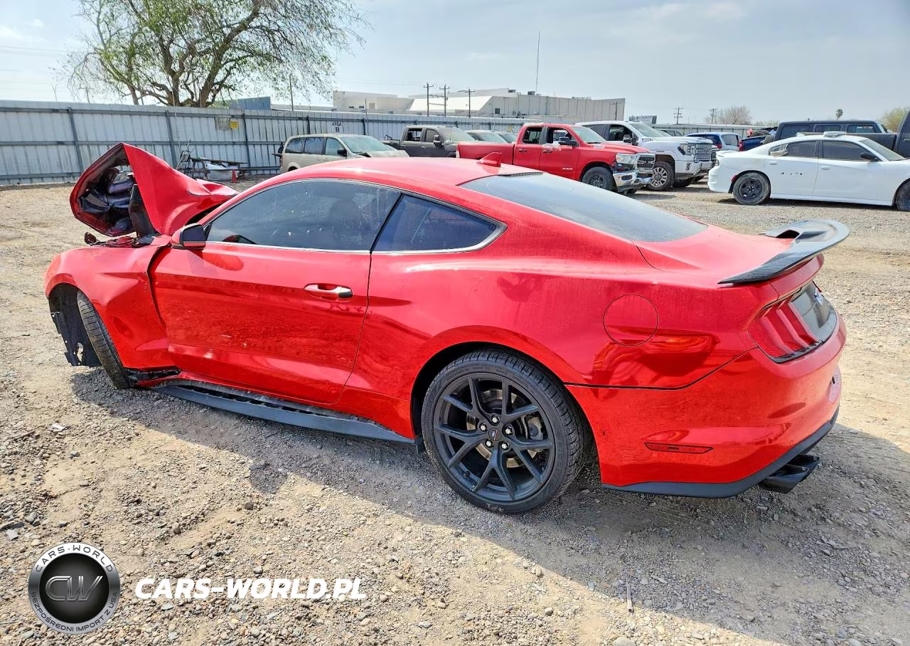 2021 Ford Mustang Gt VIN:1FA6P8CFXM5150295 - 2
