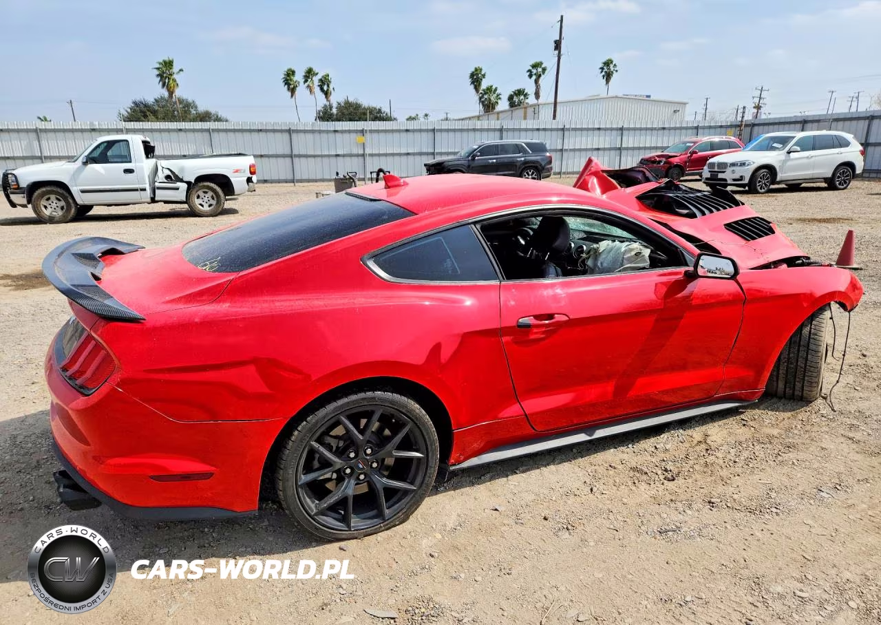 2021 Ford Mustang Gt VIN:1FA6P8CFXM5150295 - 3