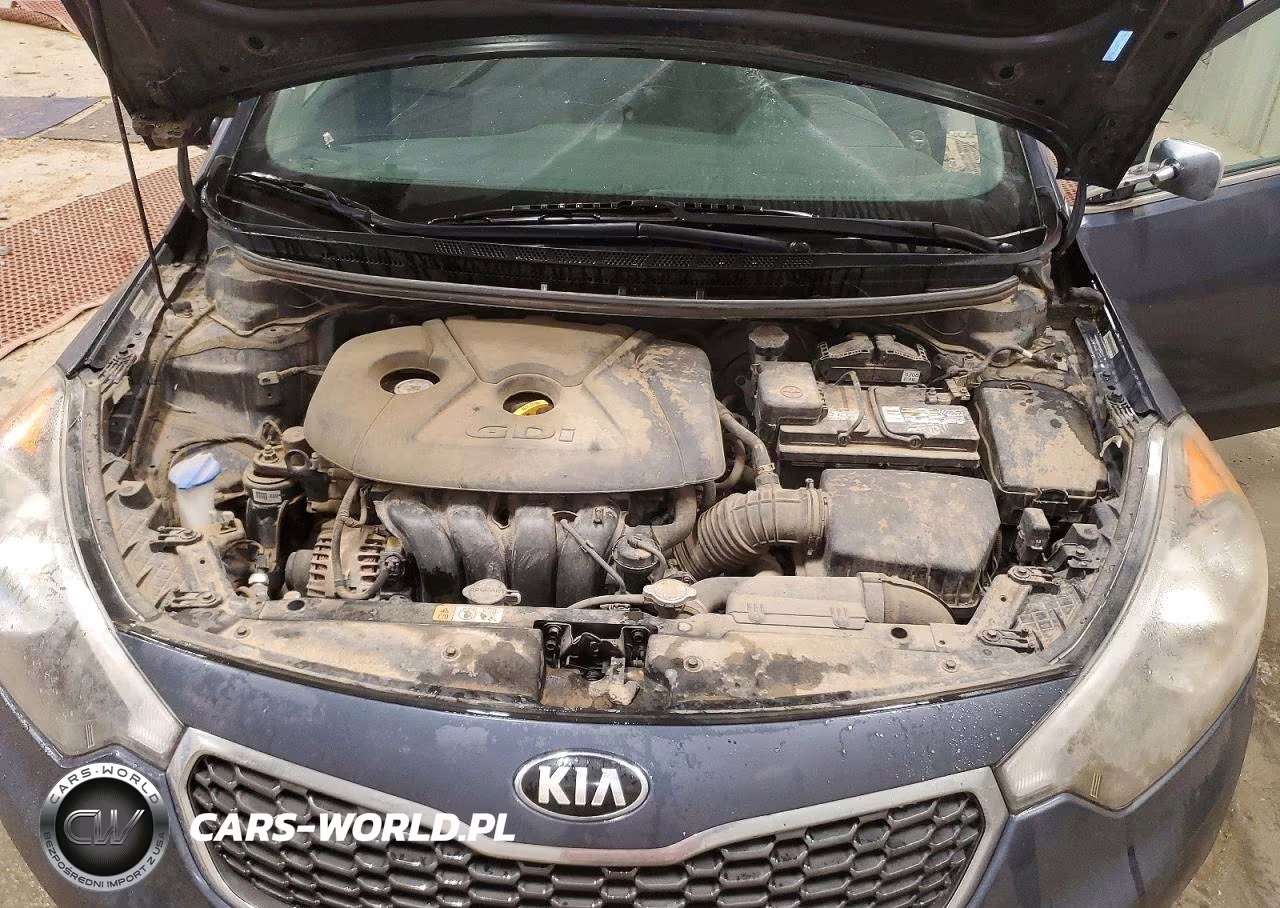 2015 Kia Forte Ex 4D Sedan VIN:KNAFX4A88F5385494 - 11
