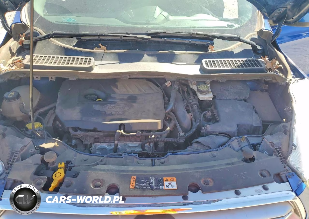 2017 Ford Escape Se VIN:1FMCU0GD2HUC64752 - 12