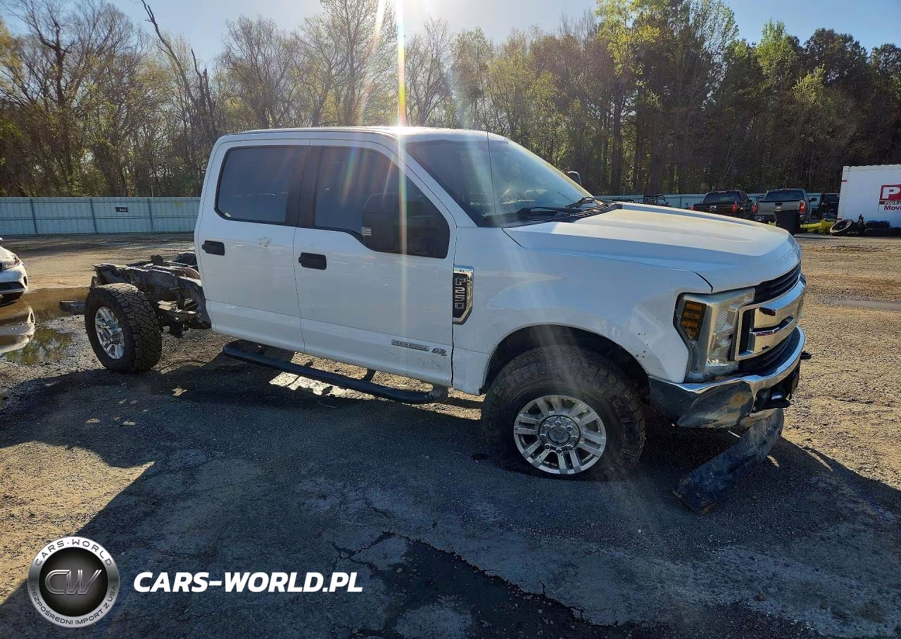 2019 Ford F250 Super Duty VIN:1FT7W2BT1KEC89699 - 4