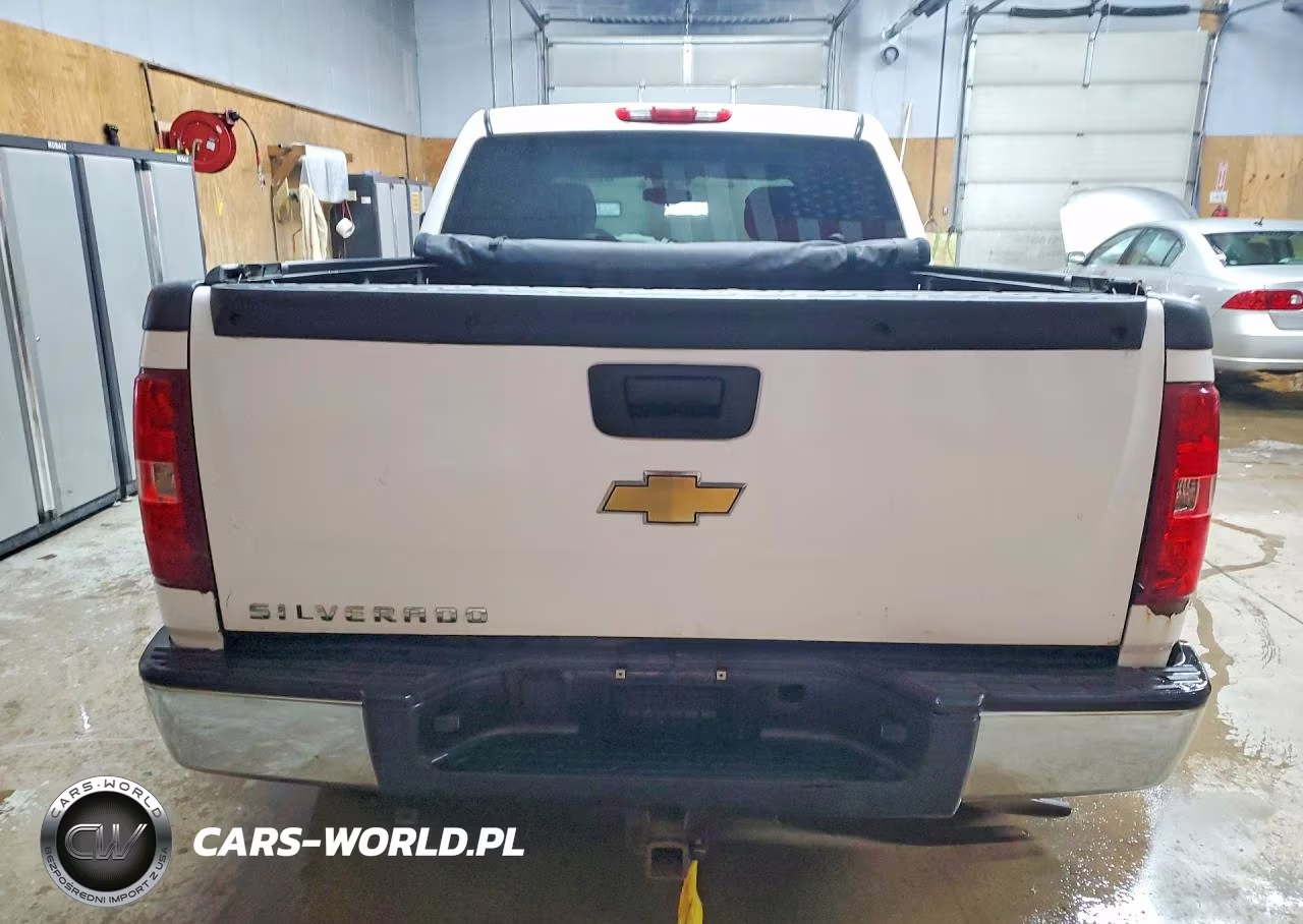 2009 Chevrolet Silverado K1500 Lt VIN:3GCEK23369G289900 - 6