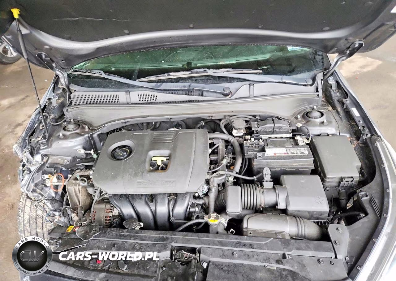 2019 Kia Forte Gt Line VIN:3KPF34AD7KE029094 - 11