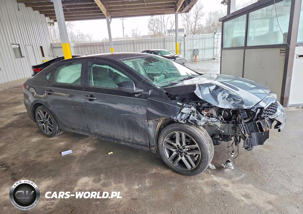 2019 Kia Forte Gt Line VIN:3KPF34AD7KE029094 - 4