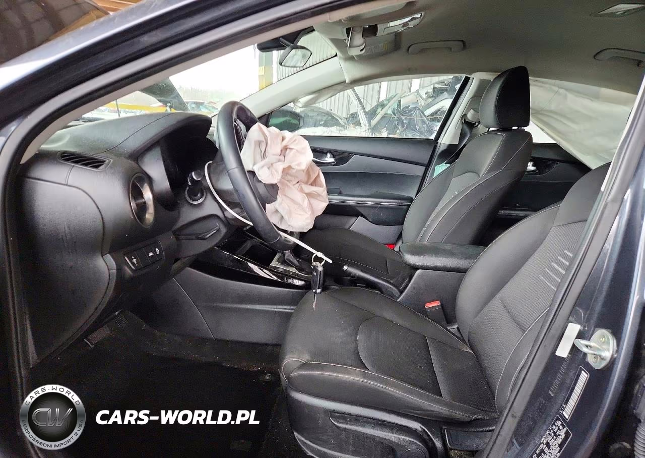 2019 Kia Forte Gt Line VIN:3KPF34AD7KE029094 - 7