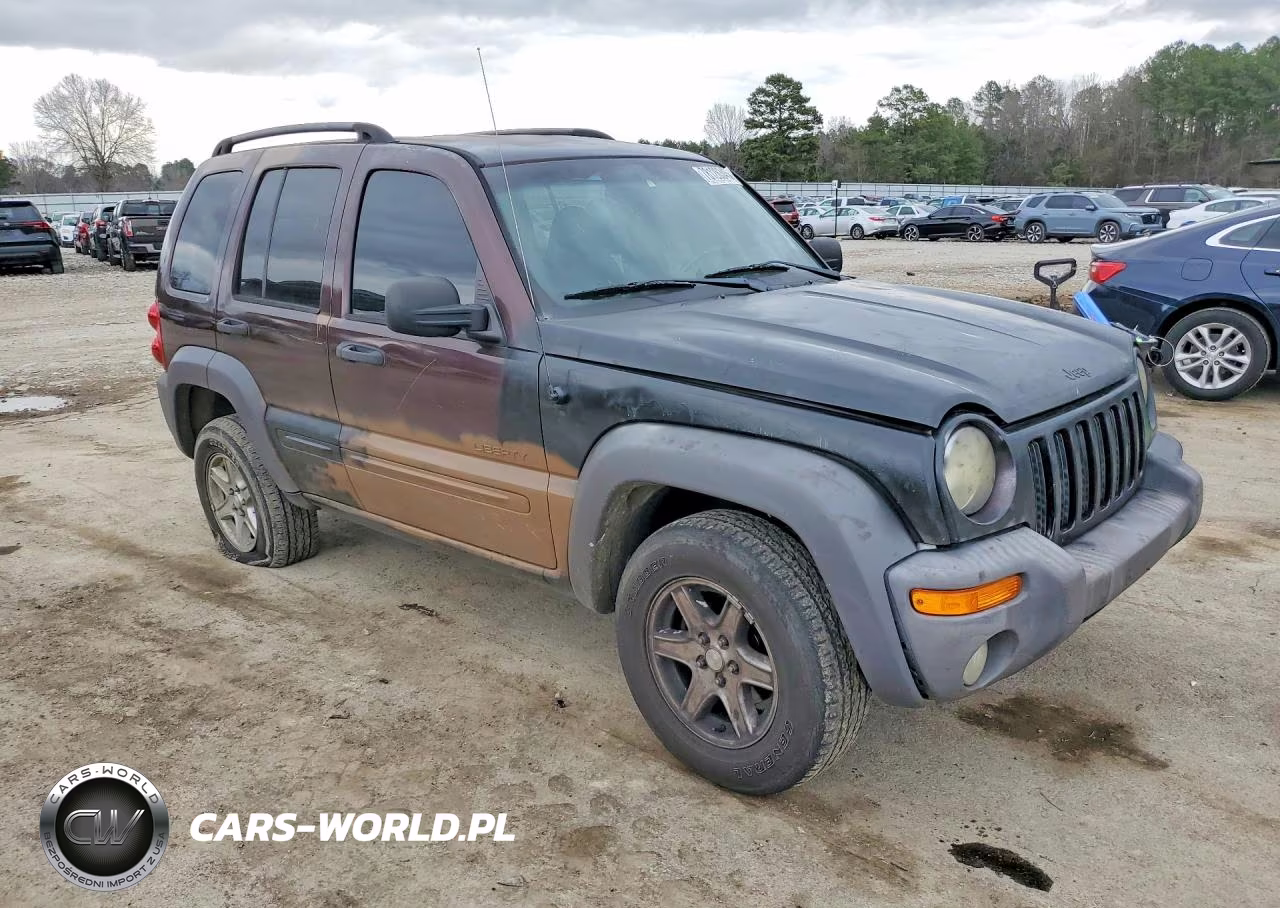 2004 Jeep Liberty Sport VIN:1J4GL48K94W264026 - 4