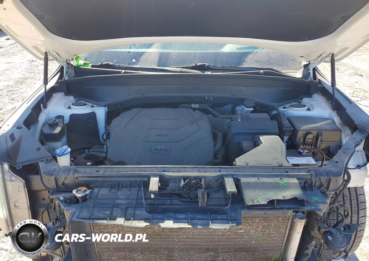 2020 Kia Telluride S VIN:5XYP6DHC7LG043039 - 12
