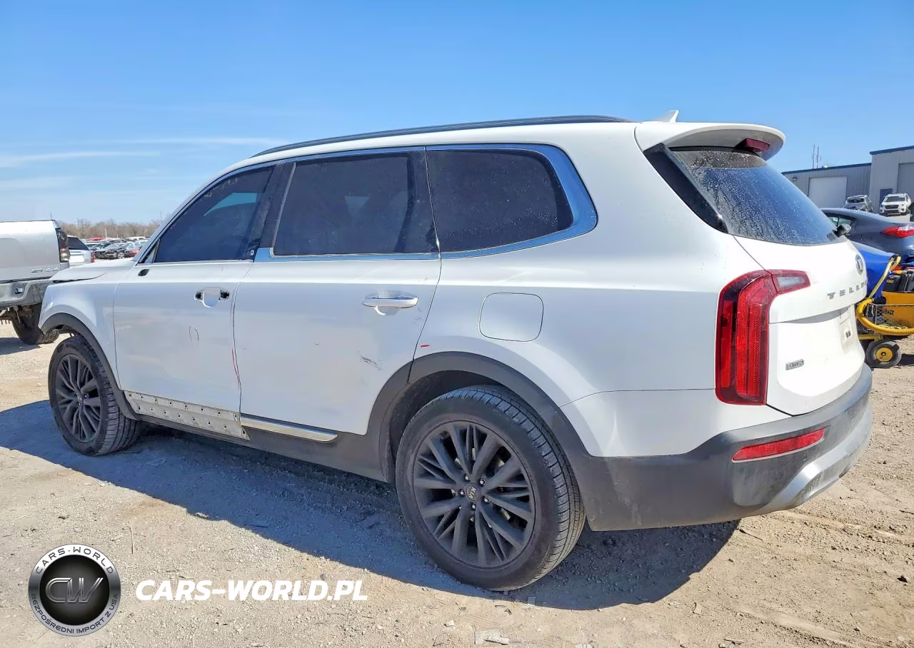 2020 Kia Telluride S VIN:5XYP6DHC7LG043039 - 2