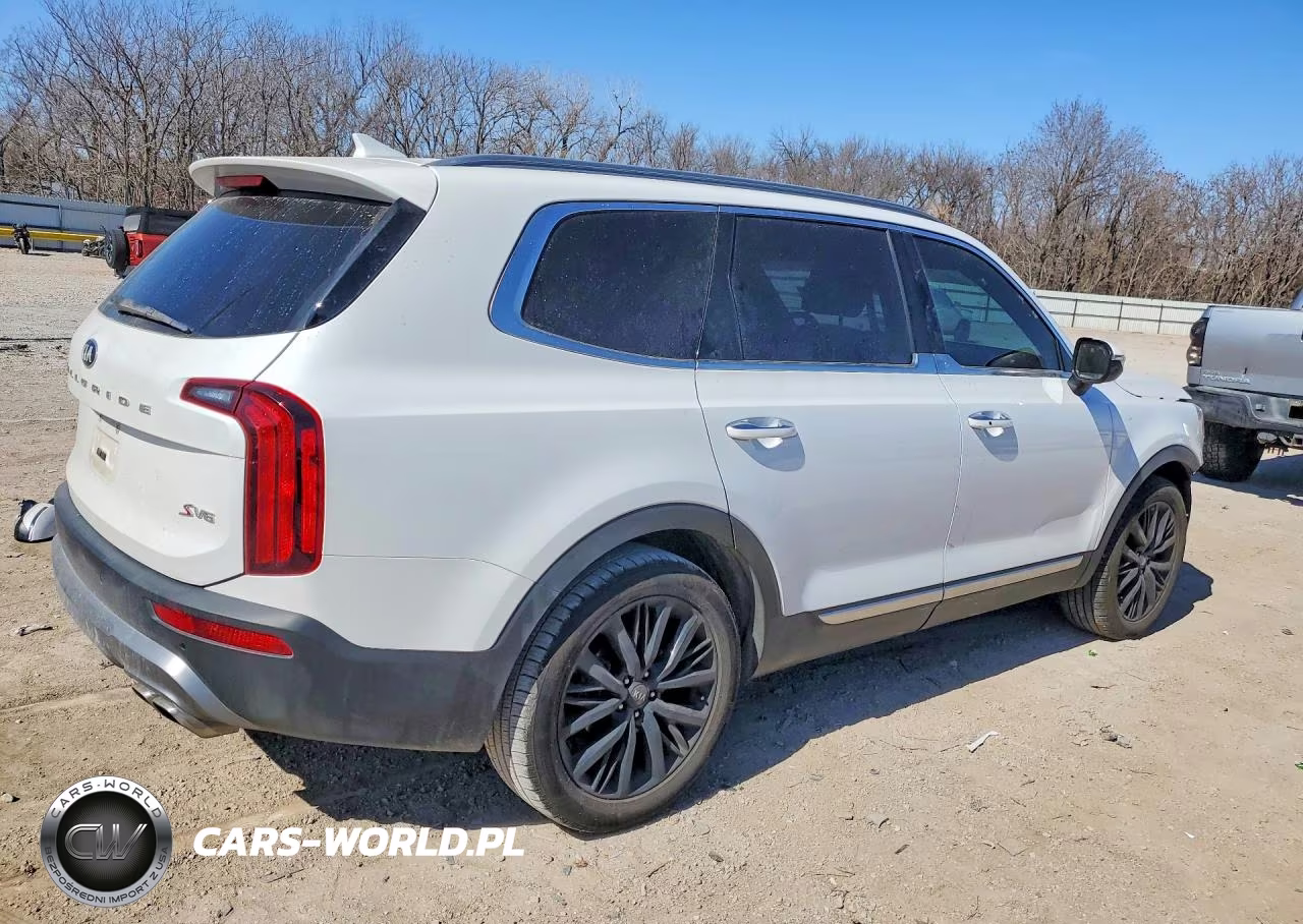 2020 Kia Telluride S VIN:5XYP6DHC7LG043039 - 3
