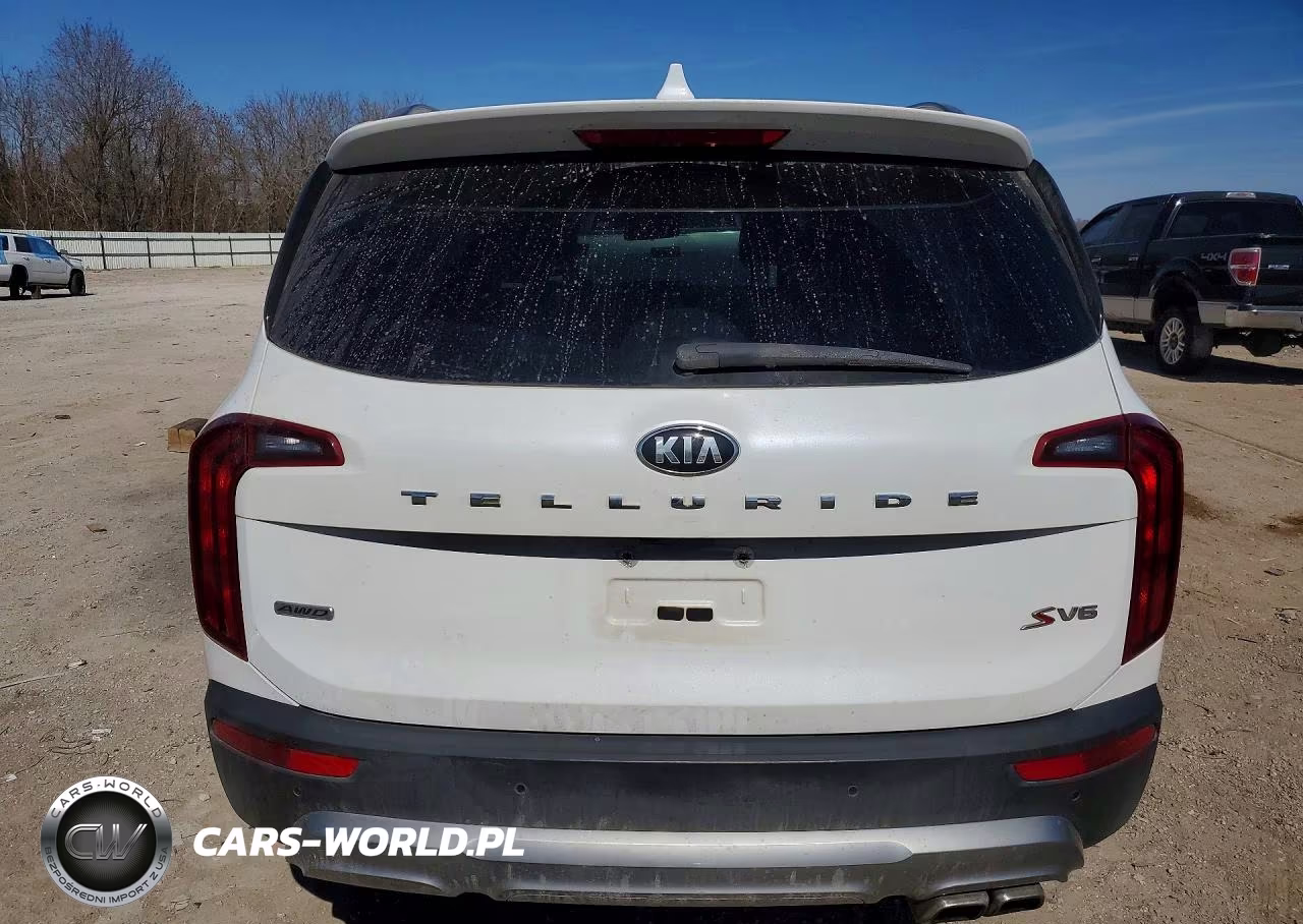 2020 Kia Telluride S VIN:5XYP6DHC7LG043039 - 6