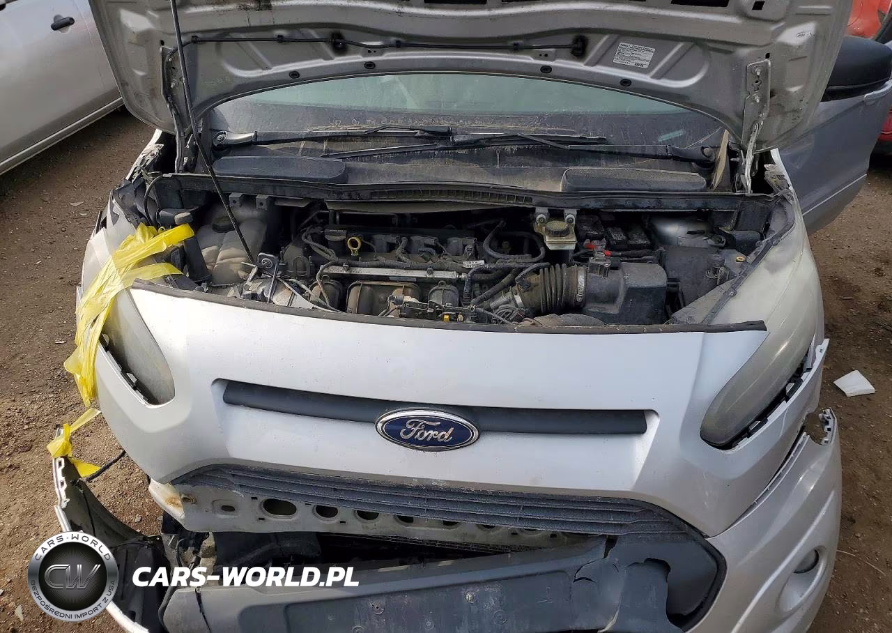 2015 Ford Transit Connect Xlt VIN:NM0GE9F7XF1199289 - 11