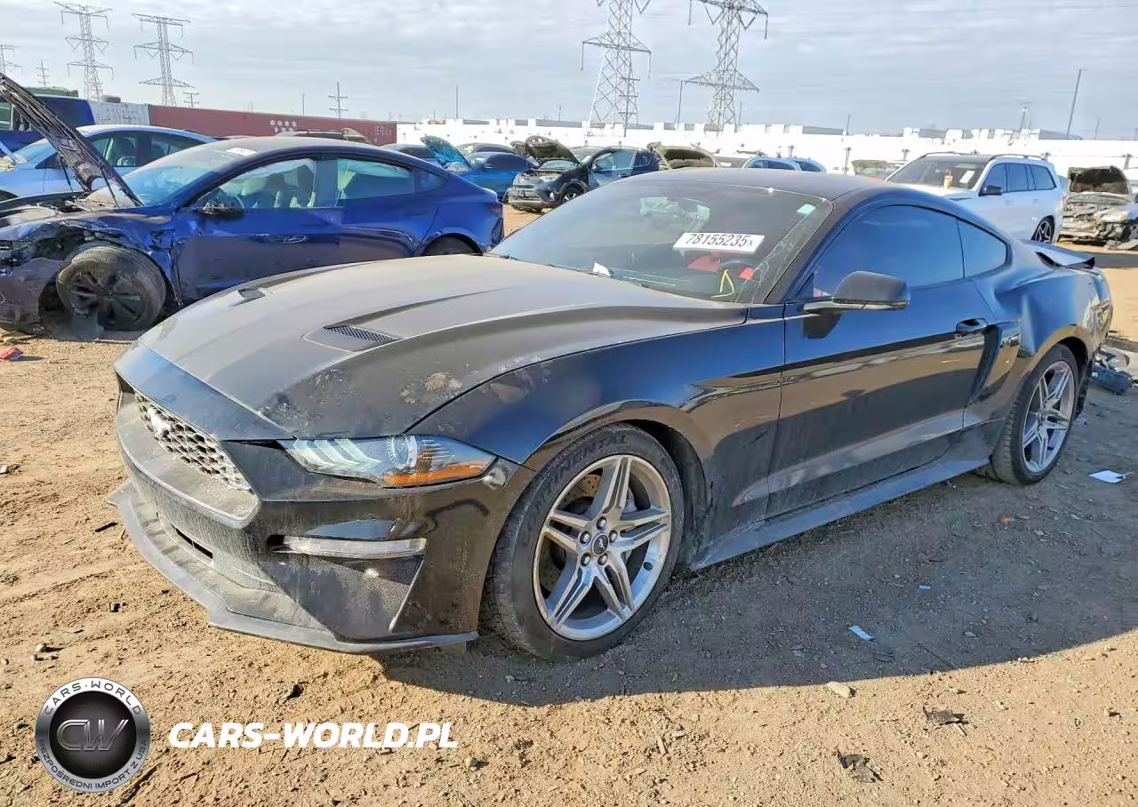 2019 Ford Mustang