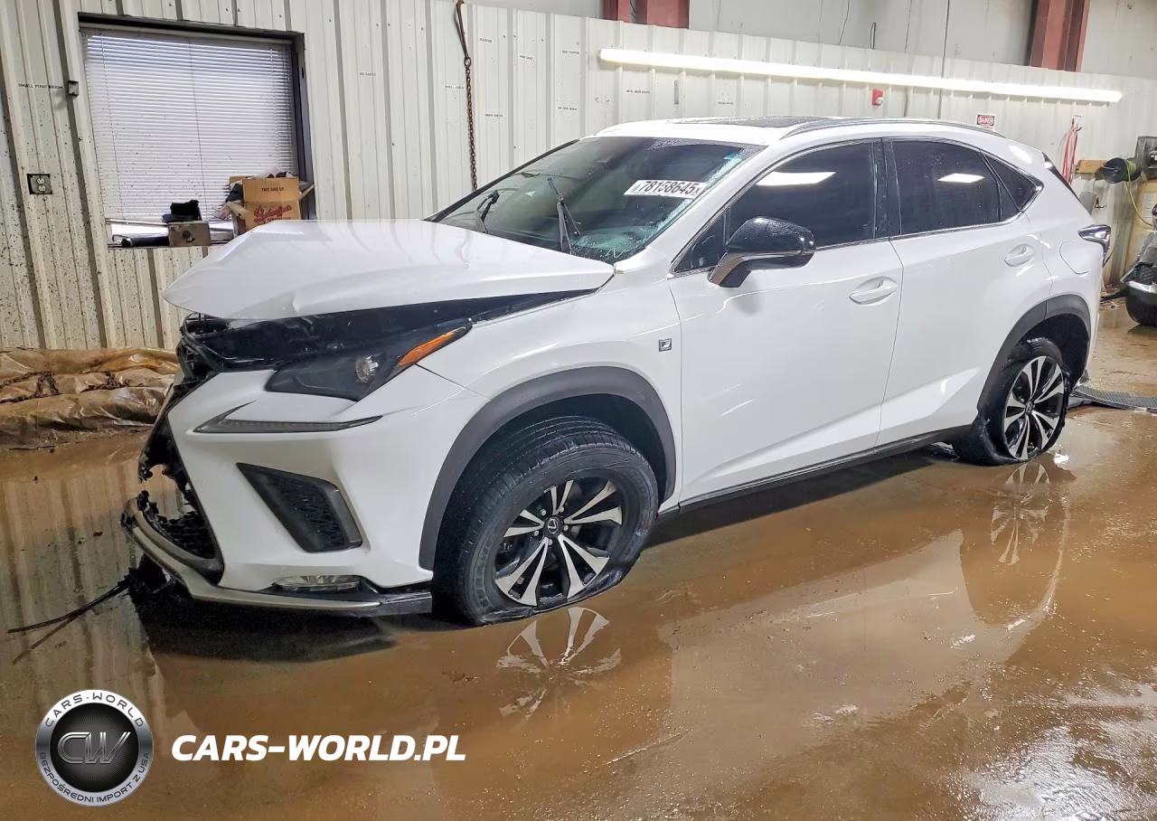 2018 Lexus Nx 300 F Sport VIN:JTJBARBZXJ2165577 - 1