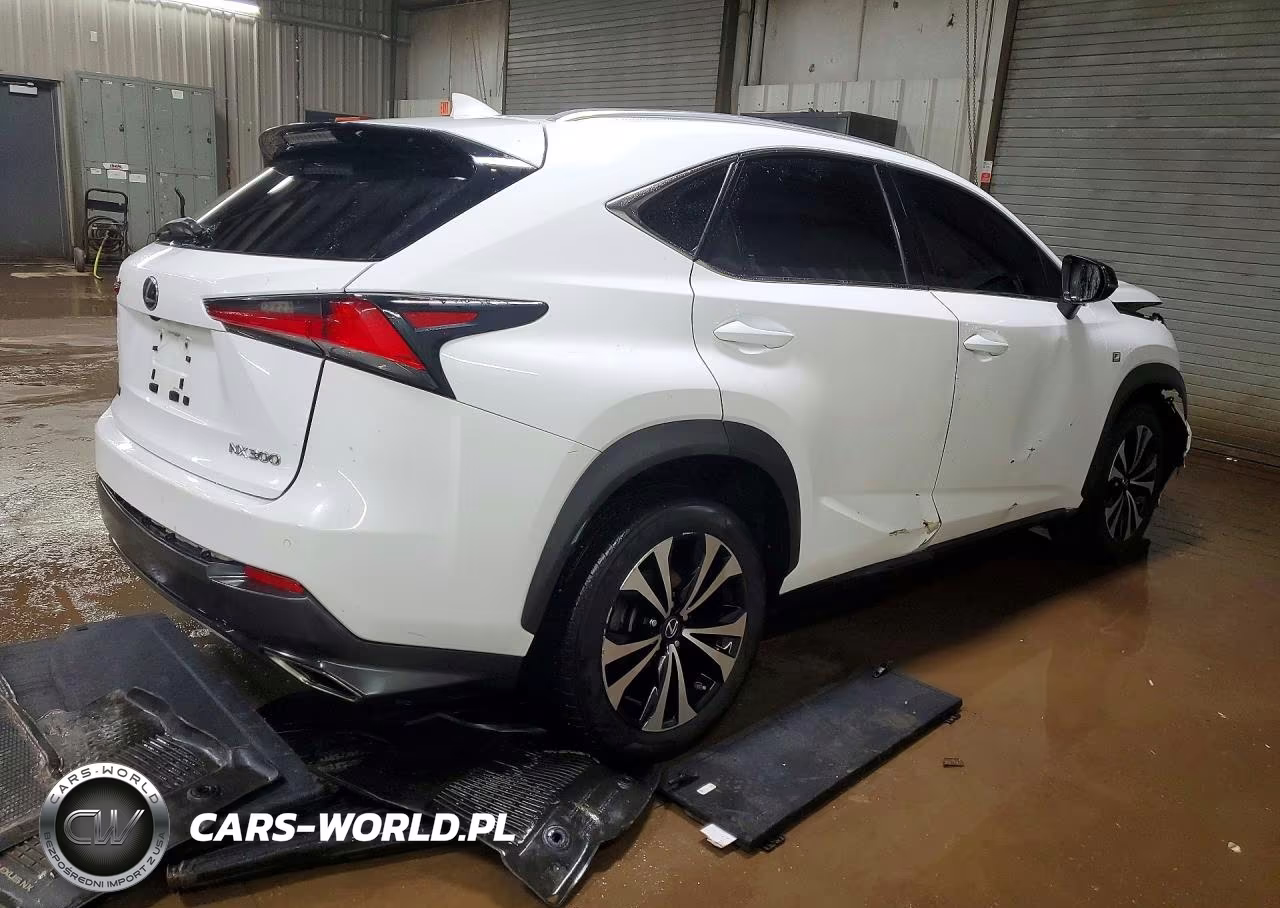 2018 Lexus Nx 300 F Sport VIN:JTJBARBZXJ2165577 - 3