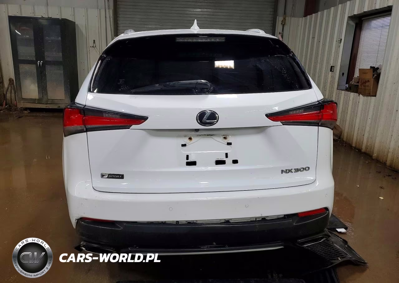 2018 Lexus Nx 300 F Sport VIN:JTJBARBZXJ2165577 - 6