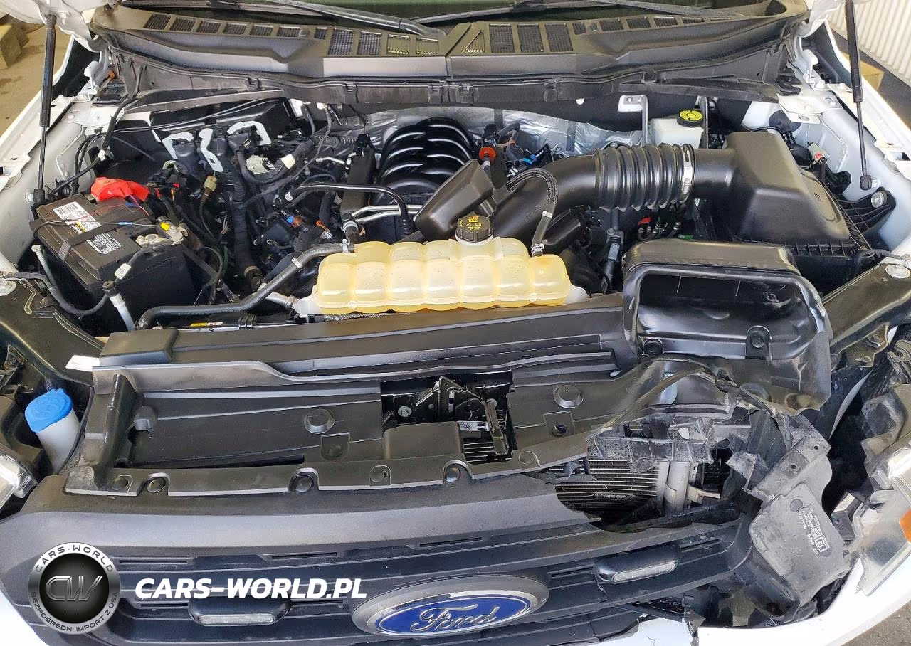 2022 Ford F150 Supercrew VIN:1FTFW1E51NKD65902 - 11