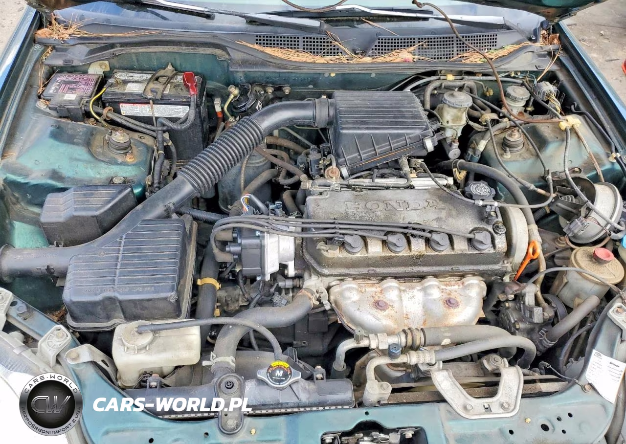 1999 Honda Civic Lx VIN:1HGEJ6579XL020222 - 11