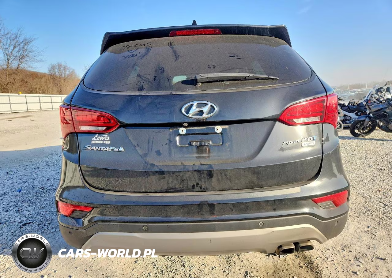 2017 Hyundai Santa Fe Sport VIN:5XYZW4LAXHG502280 - 6