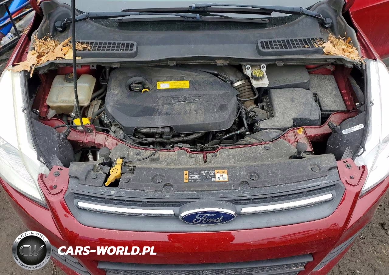 2016 Ford Escape VIN:1FMCU9GXXGUC17420 - 12