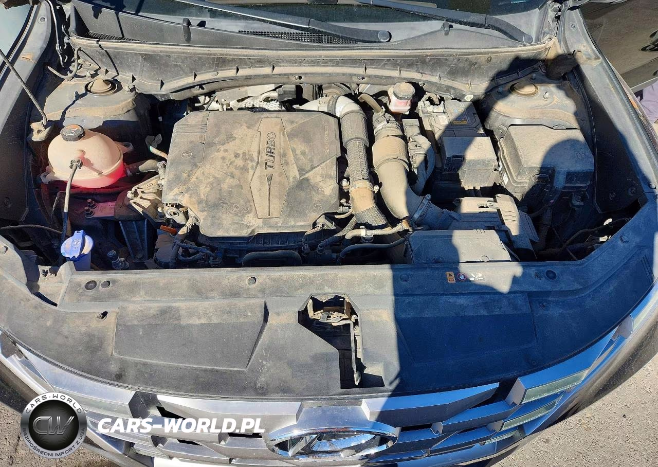 2022 Hyundai Santa Cruz Sel Premium VIN:5NTJDDAF0NH005309 - 12