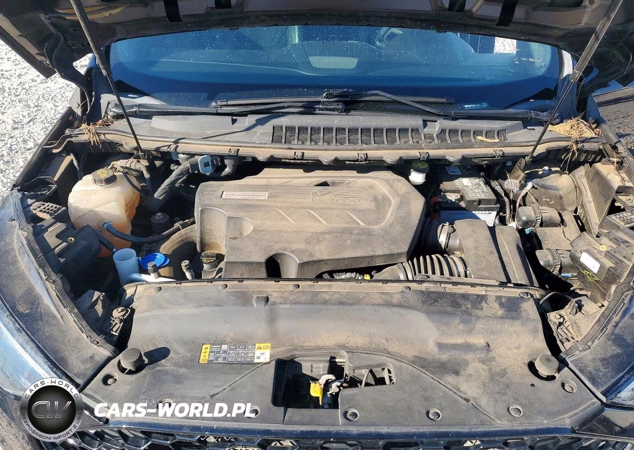 2019 Ford Edge St VIN:2FMPK4APXKBC19881 - 12
