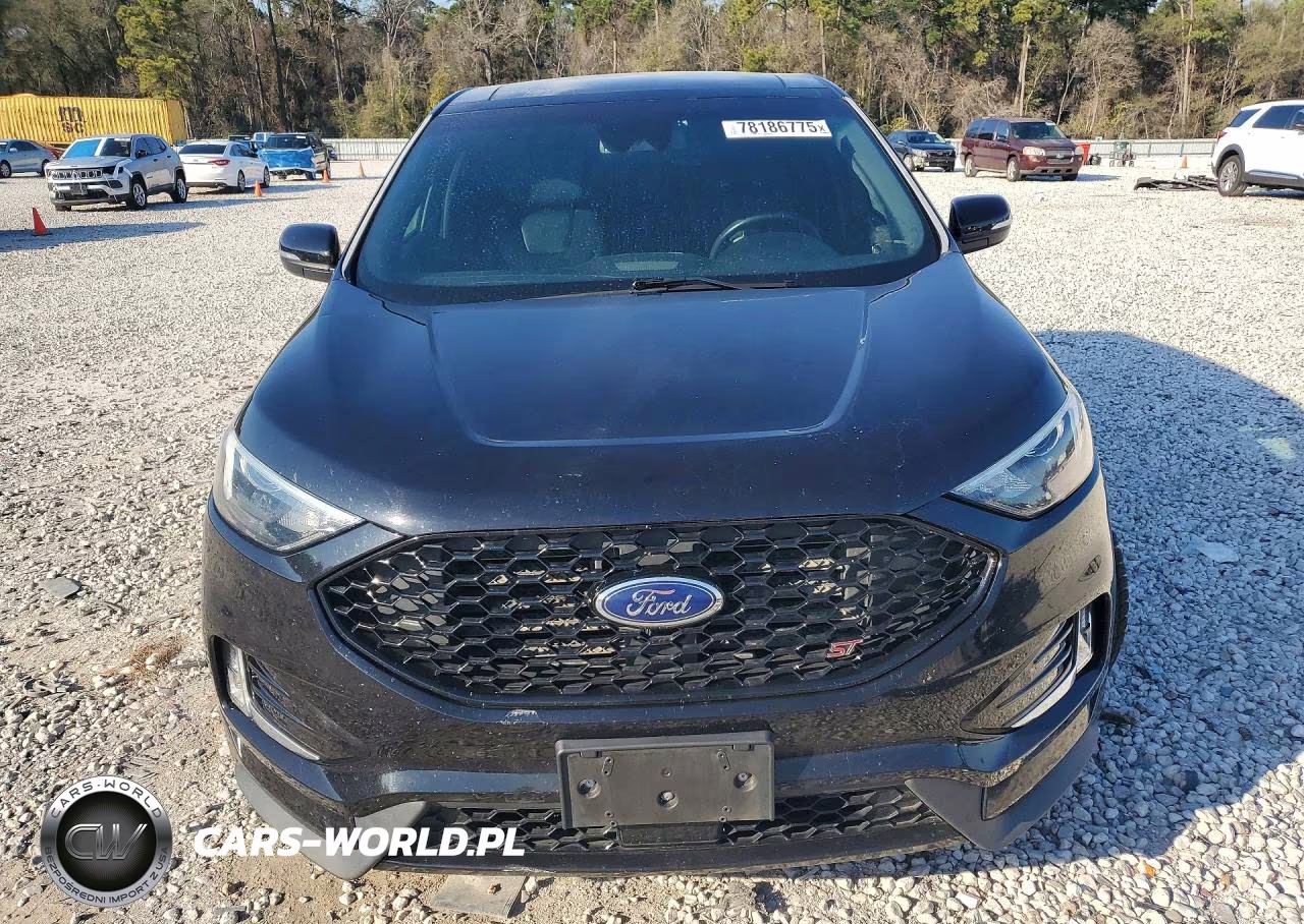 2019 Ford Edge St VIN:2FMPK4APXKBC19881 - 5