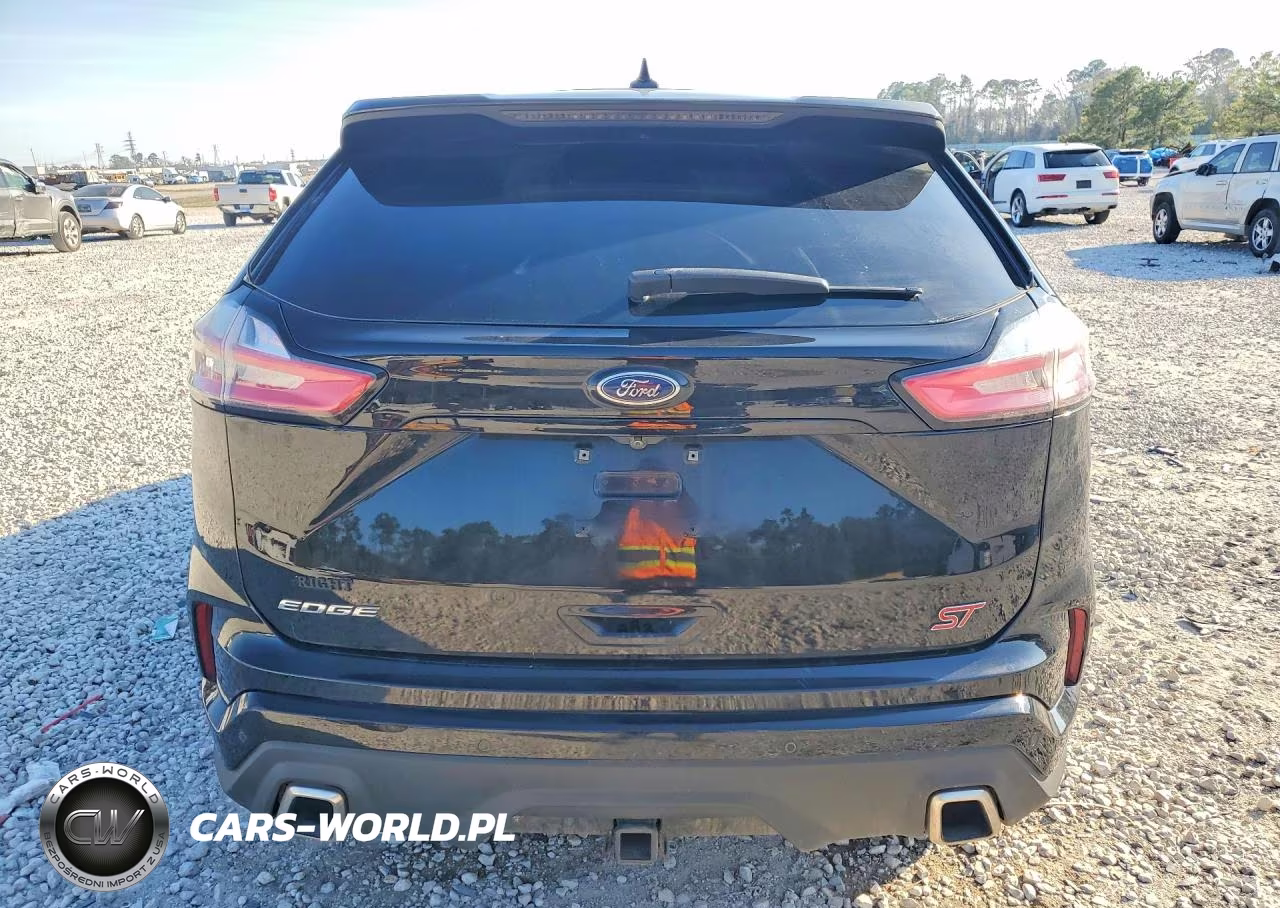 2019 Ford Edge St VIN:2FMPK4APXKBC19881 - 6