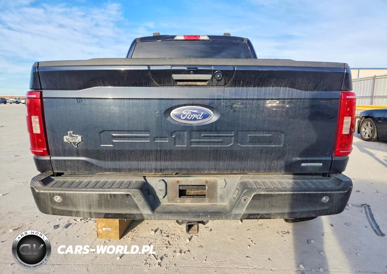 2021 Ford F150 Supercrew VIN:1FTEW1CP8MKE38438 - 6
