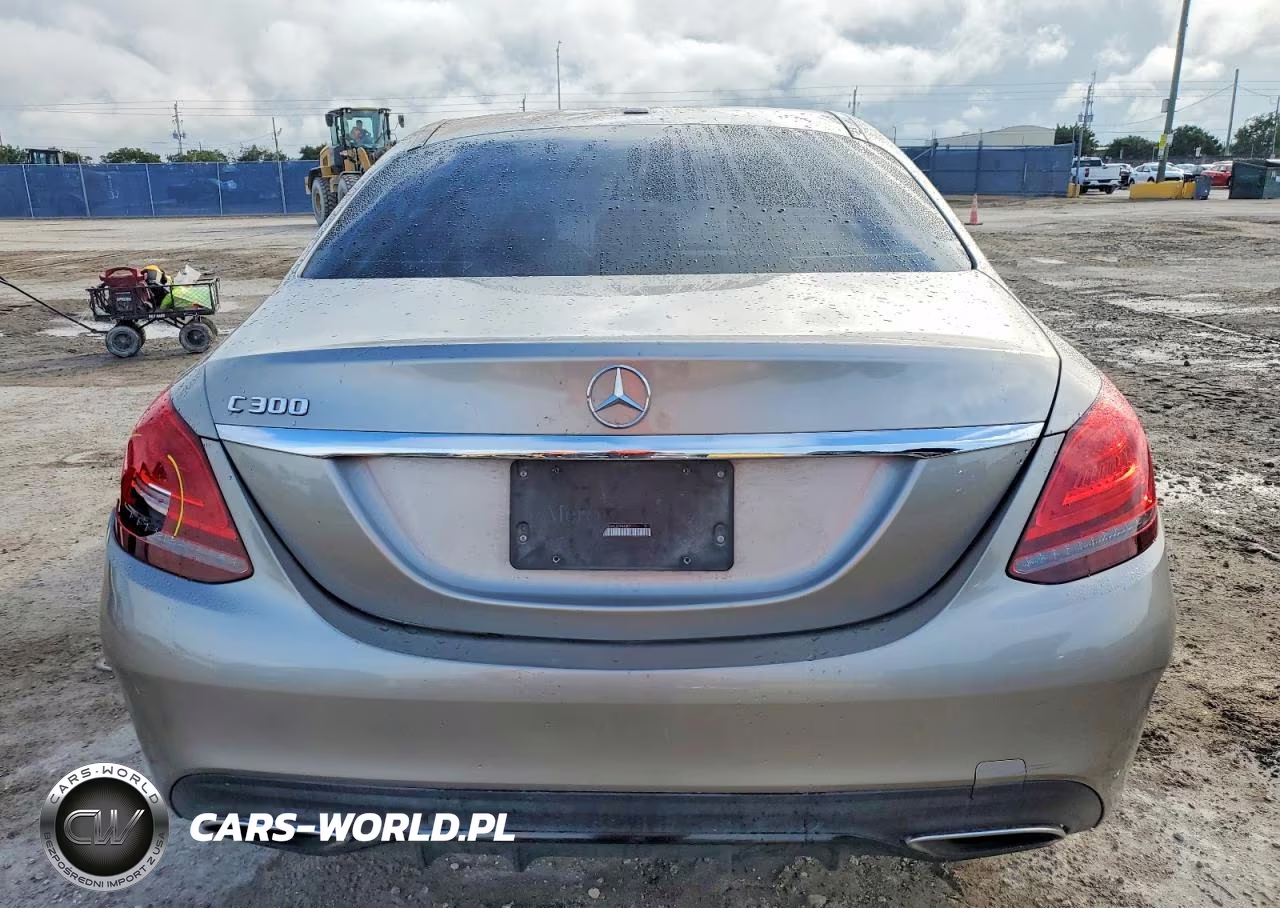 2019 Mercedes-Benz C 300 VIN:55SWF8DB6KU294087 - 6