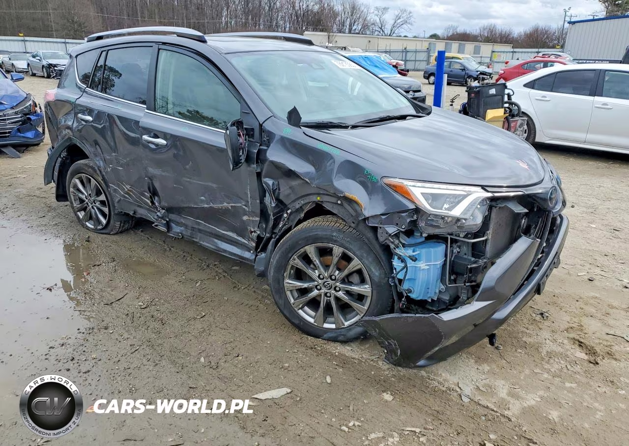 2017 Toyota Rav4 Limited VIN:JTMDFREV0HJ165626 - 4