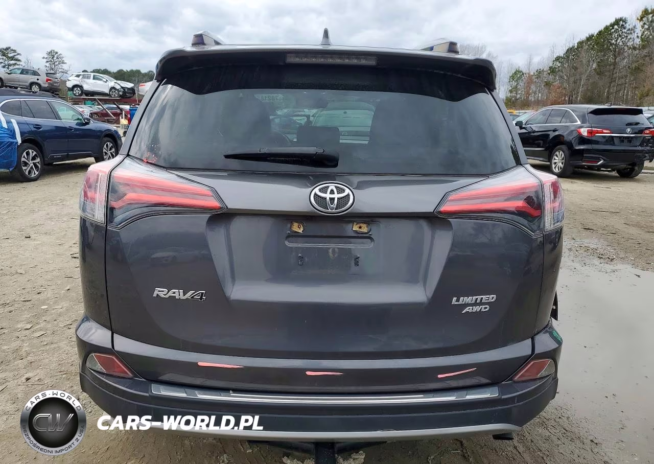 2017 Toyota Rav4 Limited VIN:JTMDFREV0HJ165626 - 6