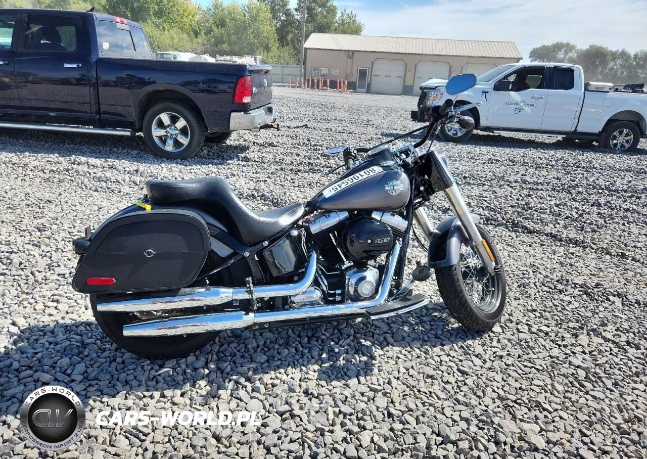 2016 Harley-Davidson Fls Softail Slim
