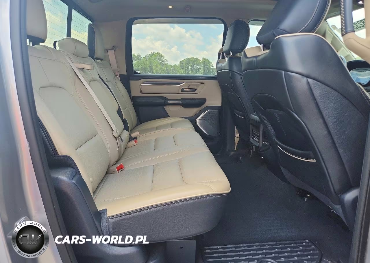 2019 Ram 1500 Limited VIN:1C6SRFPT3KN655445 - 10