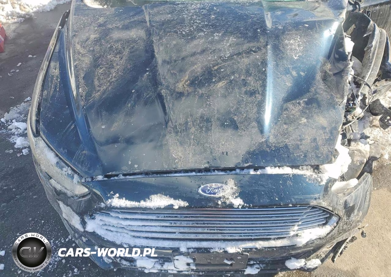 2014 Ford Fusion Se Hybrid VIN:3FA6P0LU5ER295694 - 10