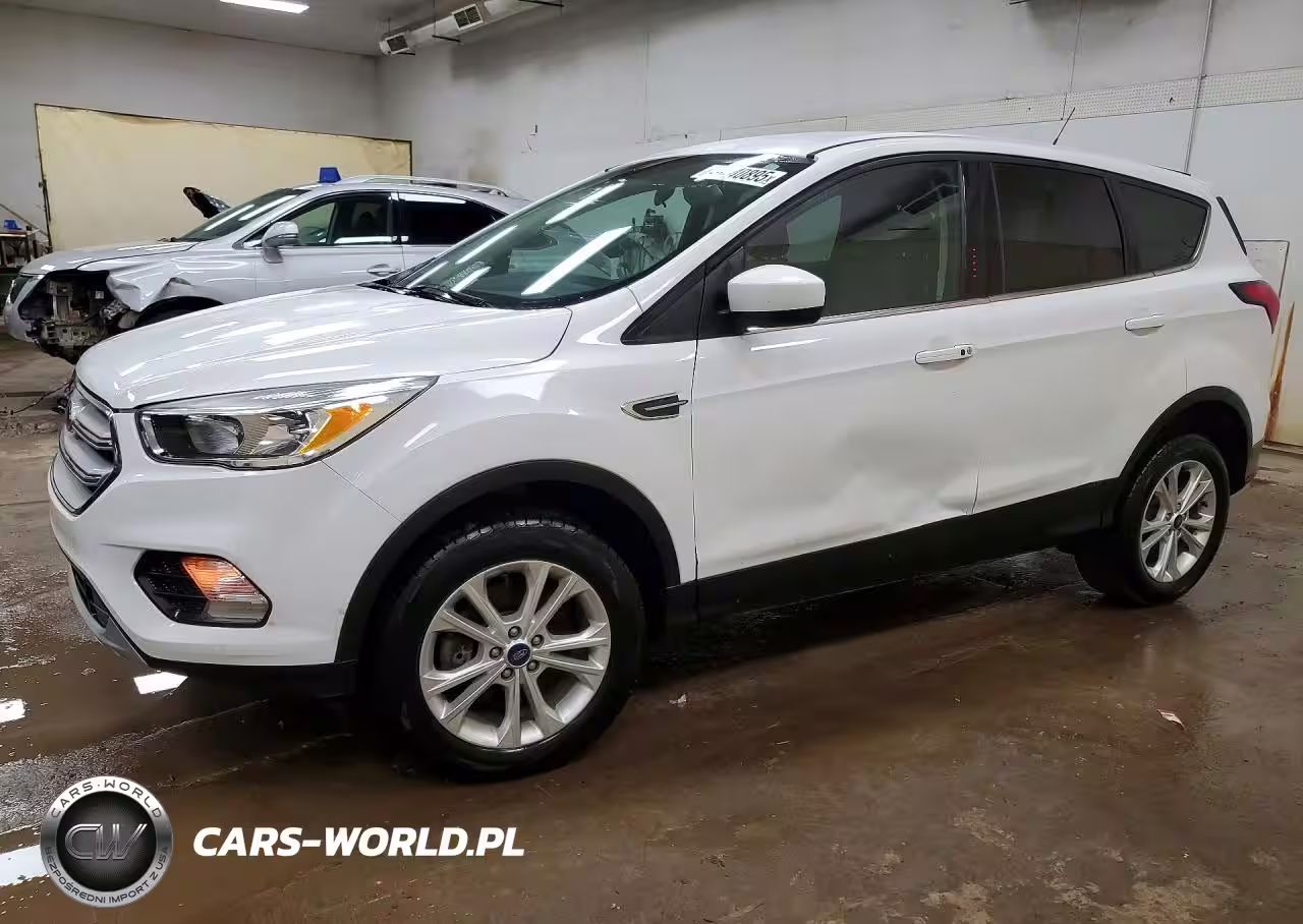 2019 Ford Escape Se