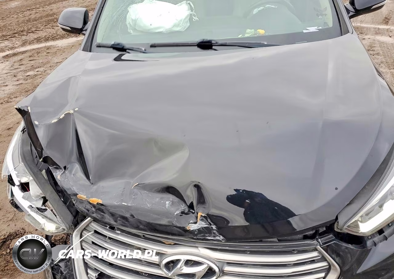 2017 Hyundai Santa Fe Se VIN:KM8SNDHF5HU202682 - 12