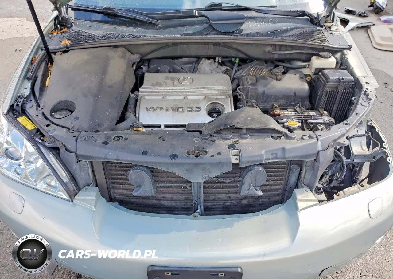 2005 Lexus Rx 330 Base VIN:2T2HA31U45C078504 - 12