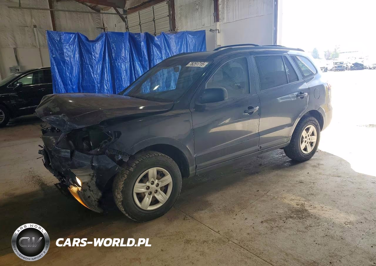 2009 Hyundai Santa Fe Gls