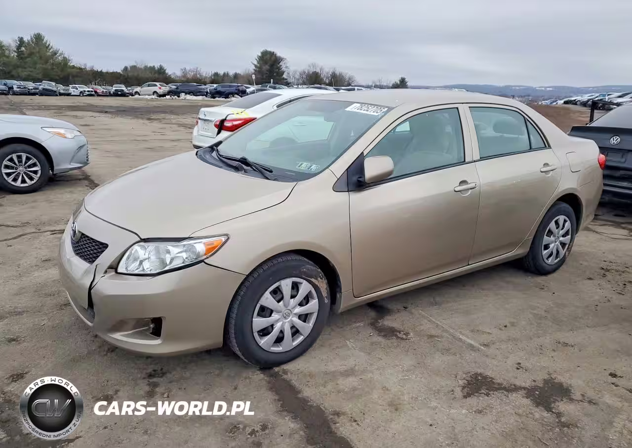 2010 Toyota Corolla Base