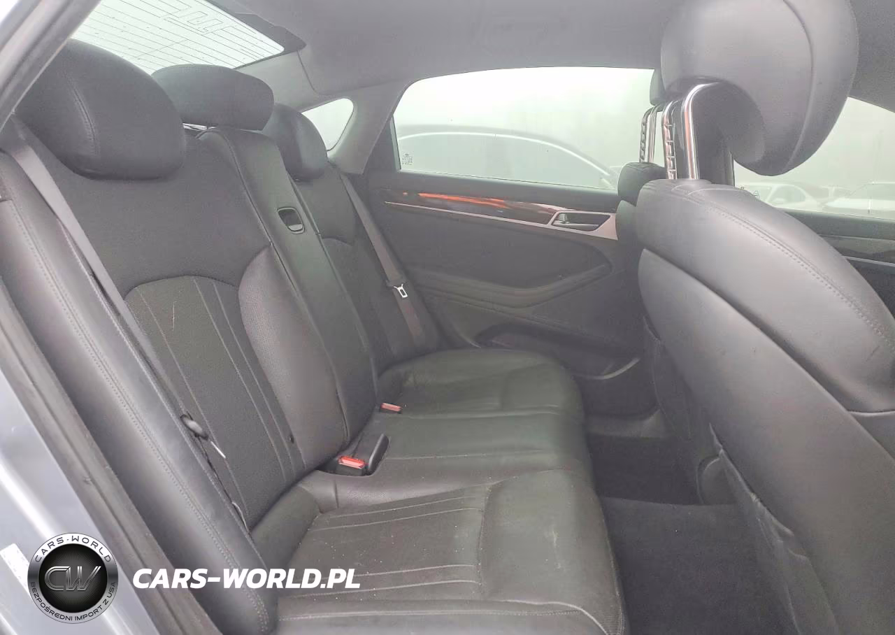 2015 Hyundai Genesis 3.8L VIN:KMHGN4JE0FU098817 - 10