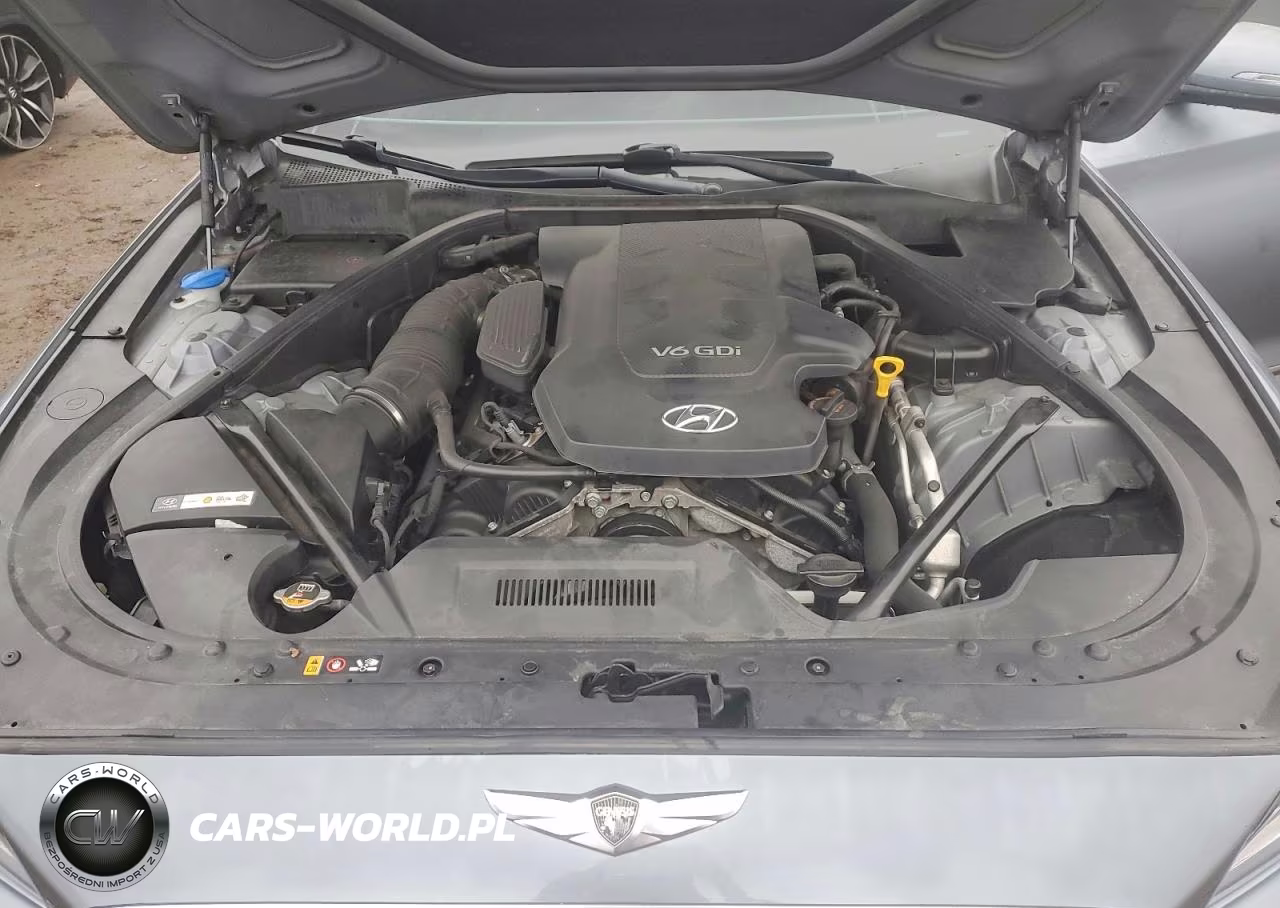 2015 Hyundai Genesis 3.8L VIN:KMHGN4JE0FU098817 - 11