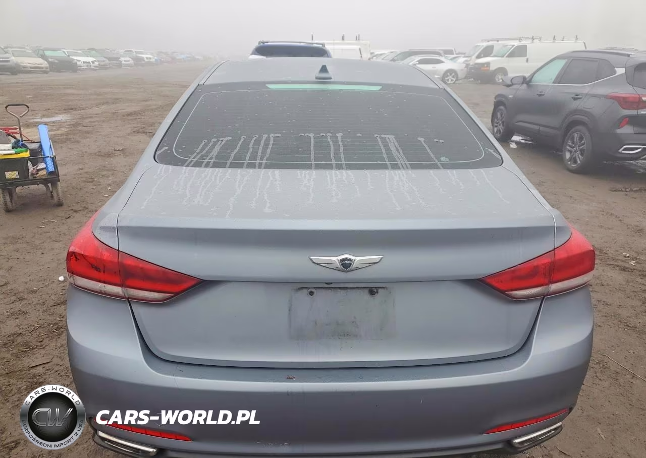 2015 Hyundai Genesis 3.8L VIN:KMHGN4JE0FU098817 - 6