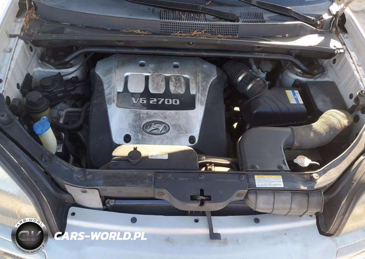 2006 Hyundai Tucson VIN:KM8JN12D06U363438 - 12