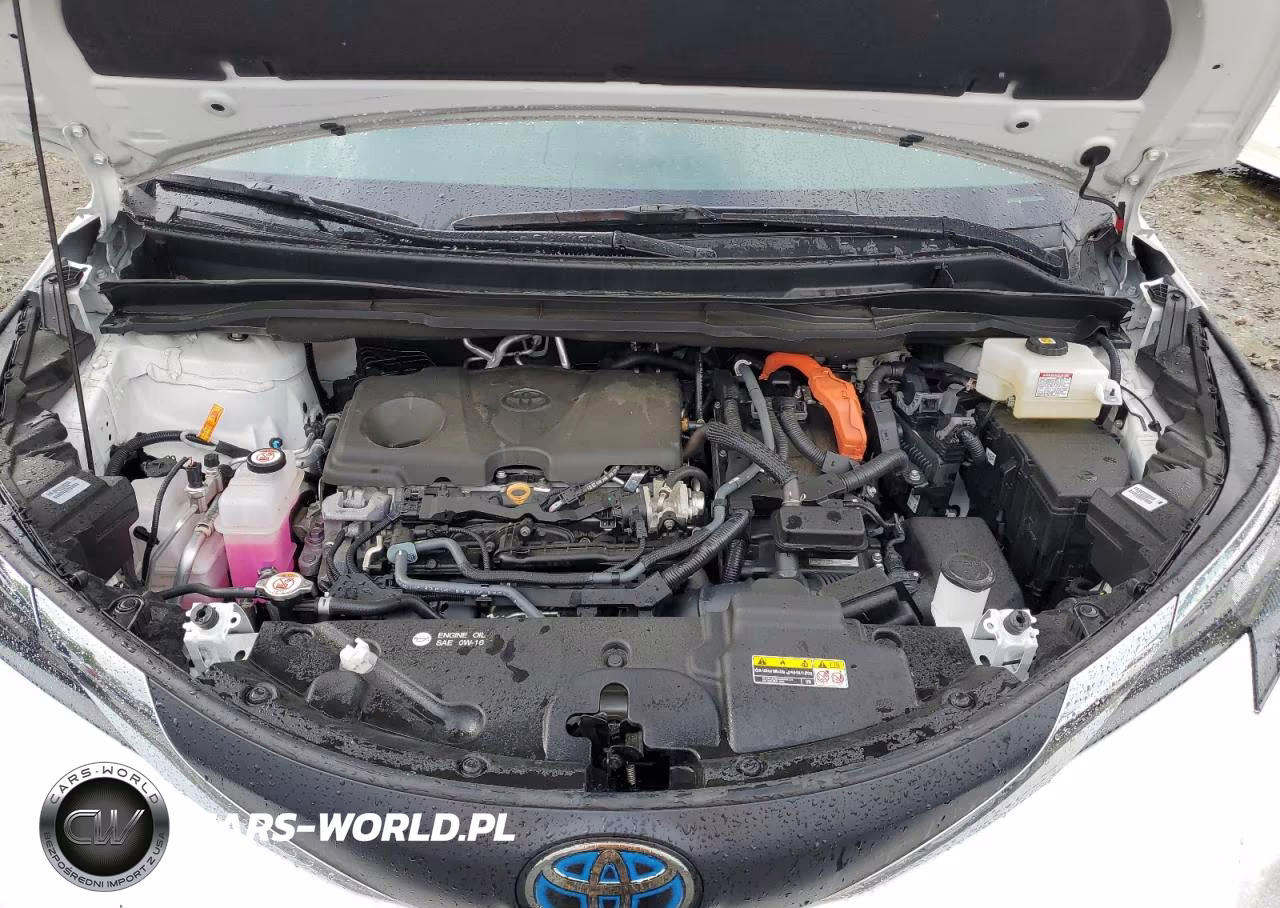 2025 Toyota Sienna Le VIN:5TDBSKFC7SS154429 - 12