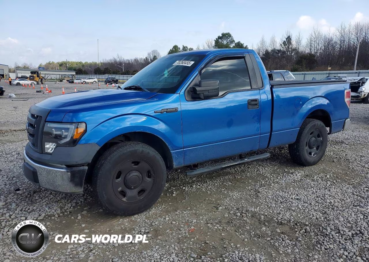 2009 Ford F150
