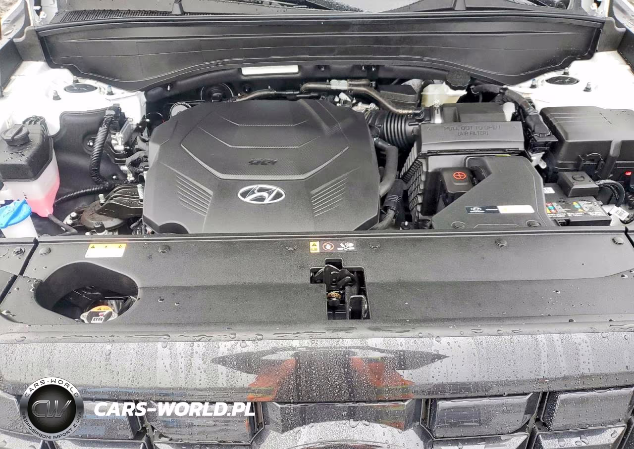 2025 Hyundai Palisade Se VIN:KM8R1DGE4SU937289 - 12