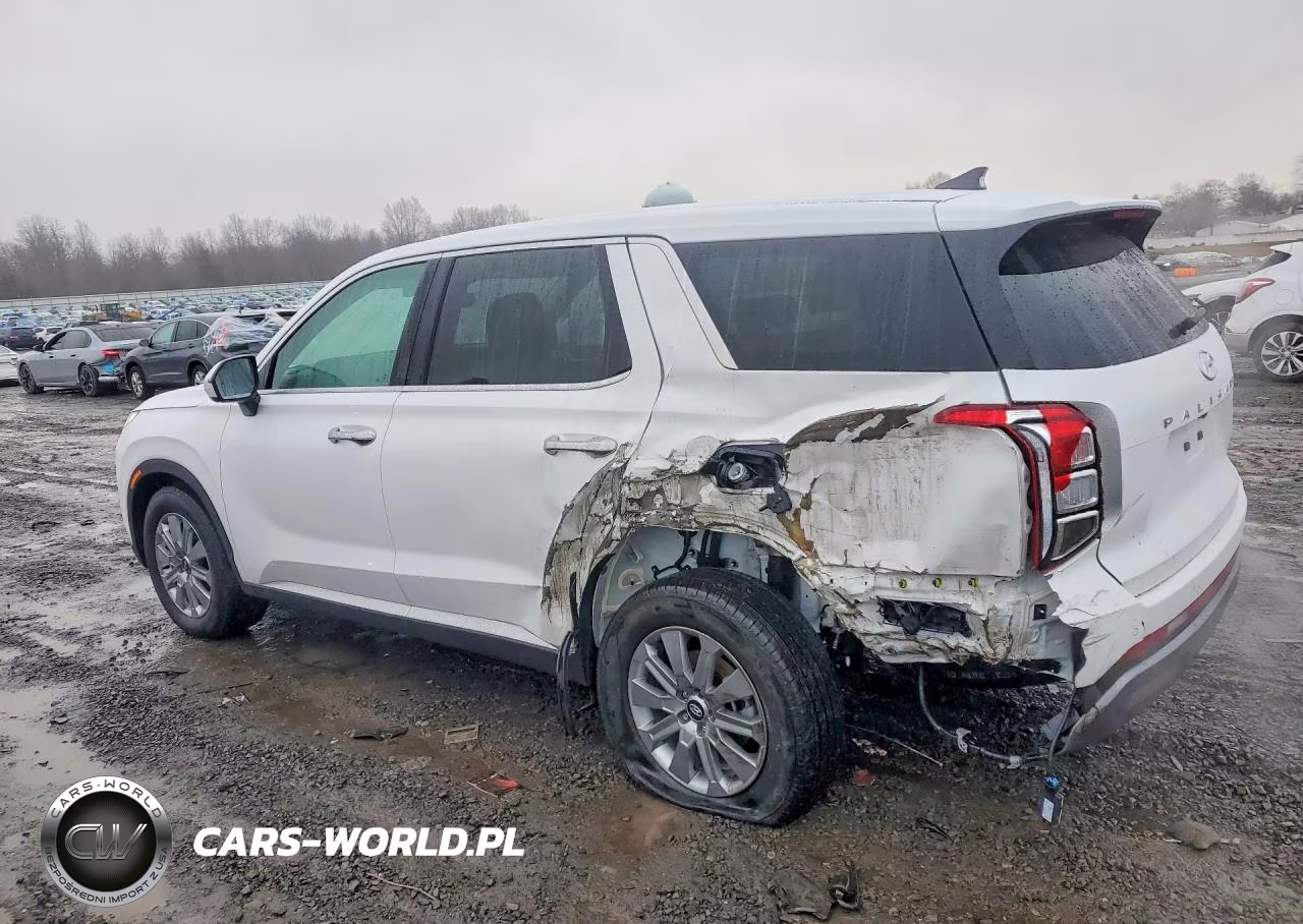 2025 Hyundai Palisade Se VIN:KM8R1DGE4SU937289 - 2